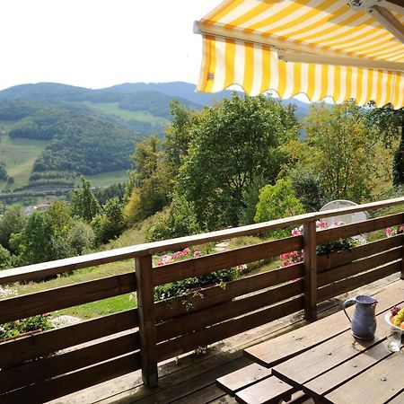 Chalet-Gite Berbuche Sainte-Croix-aux-Mines Екстериор снимка