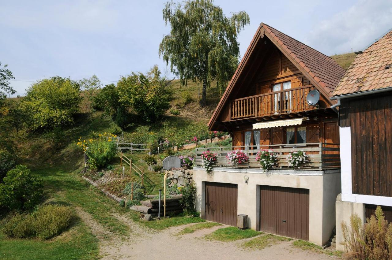 Chalet-Gite Berbuche Sainte-Croix-aux-Mines Екстериор снимка