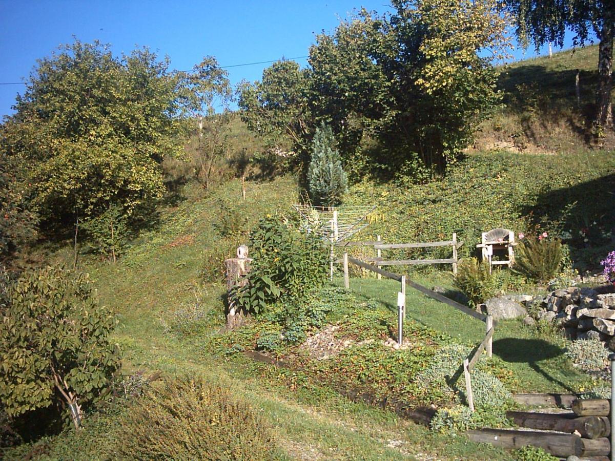 Chalet-Gite Berbuche Sainte-Croix-aux-Mines Екстериор снимка