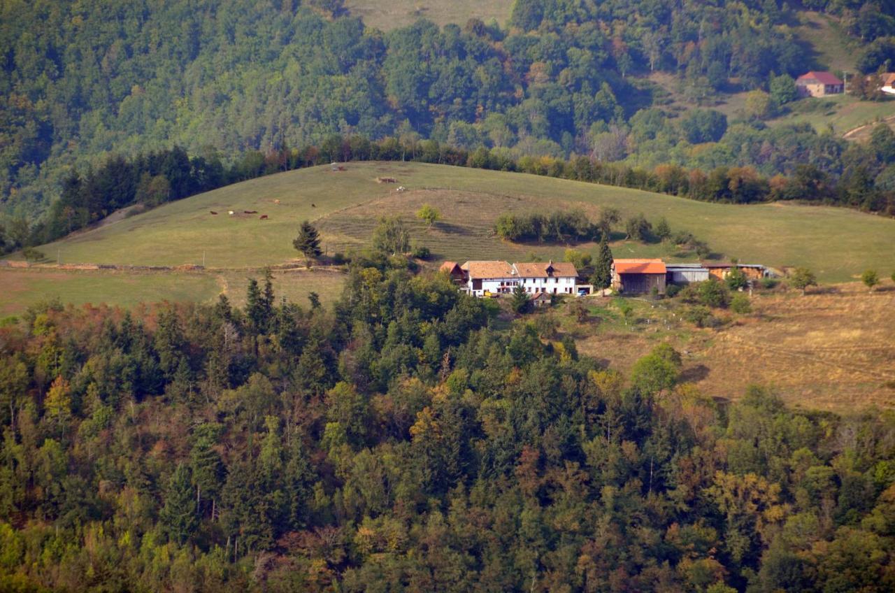 Chalet-Gite Berbuche Sainte-Croix-aux-Mines Екстериор снимка